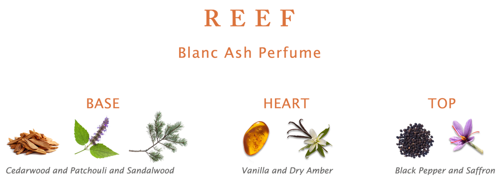 Reef Perfume Blanc Ash – EDP