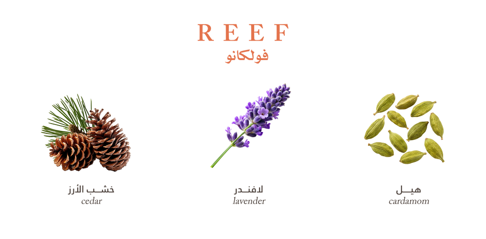 Reef Perfume Volcano – EDP