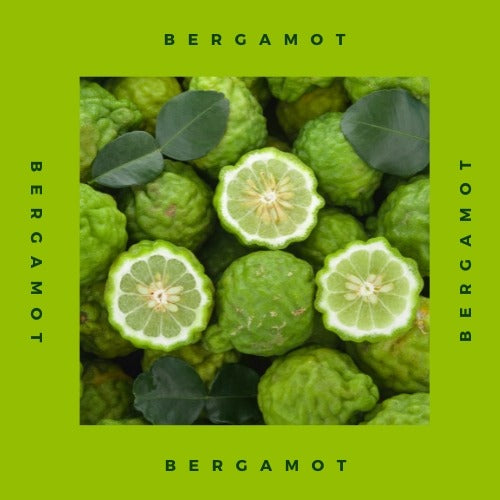 Bergamot