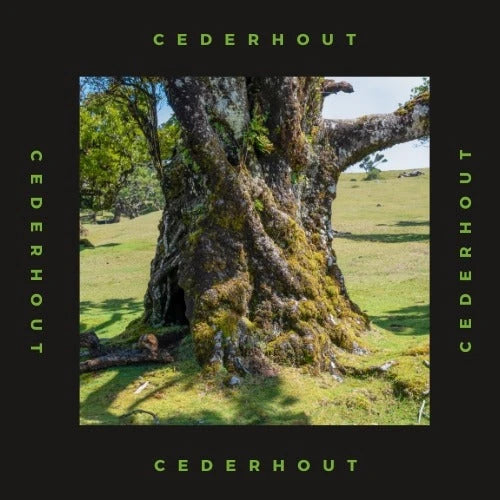 Cederhout