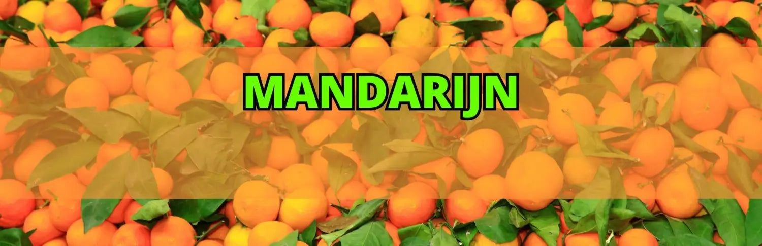Mandarijn